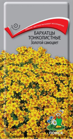 Семена бархатцы тонколистные Золотой самоцвет ПОИСК 0,1 г